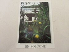 CP CARTE POSTALE LOIRET VAL de LOIRE En SOLOGNE Au BORD de l'ETANG - Vierge