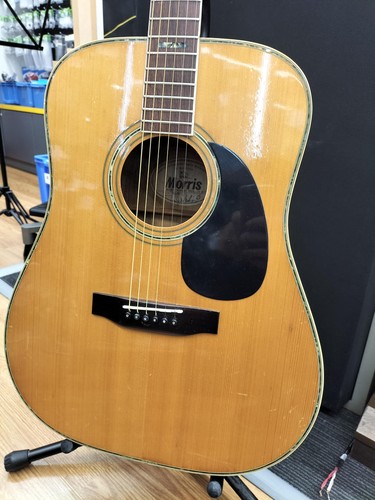 Guitare acoustique morris 40 - guitare,