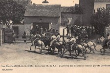 SAINTES-MARIES DE LA MER : camargue, l'arrivée des taureaux conduit par les g