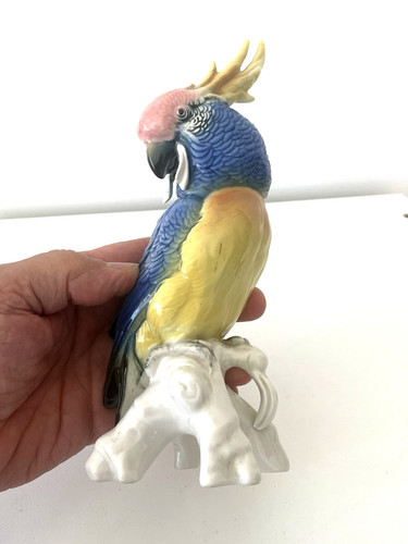 Perroquet porcelaine - perroquet,