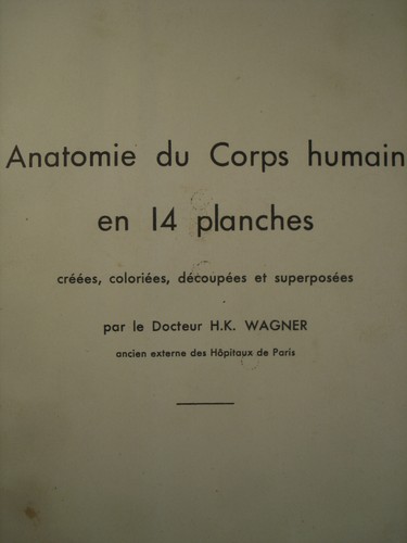 Anatomie corps humain en - corps,