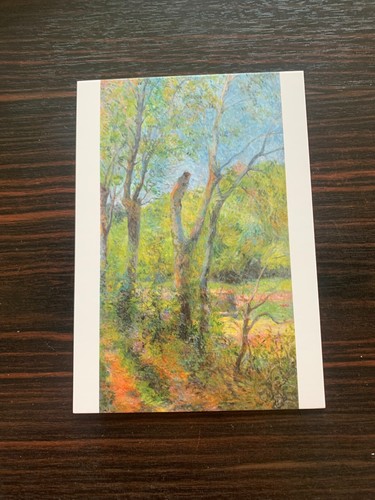 Carte postale 14x10 - carte,