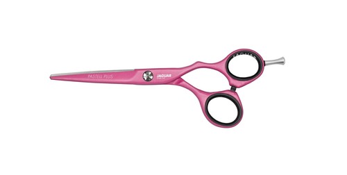 Jaguar white line pastel - jaguar,