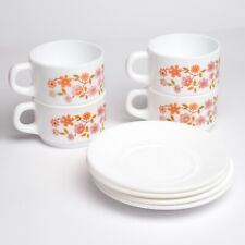 ARCOPAL DECOR SCANIA 1970: 4