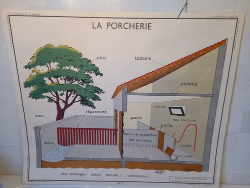 Affiche scolaire pedagogique - scolaire,