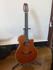 Guitare acoustique électrique