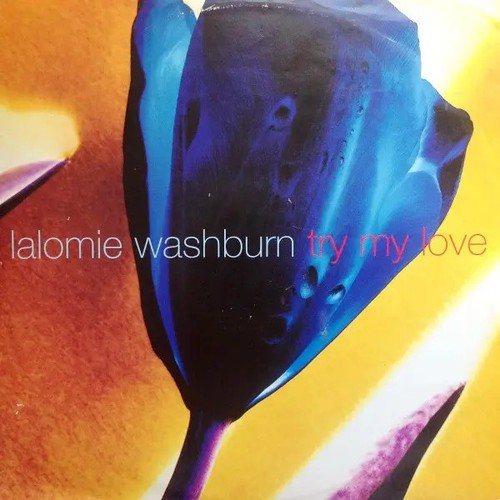 Lalomie washburn try love - my,