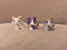 Authentic Lot De 3 Petshops #67#1676#363# LPS Original