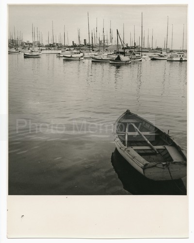 Cannes barques pêche et - de,