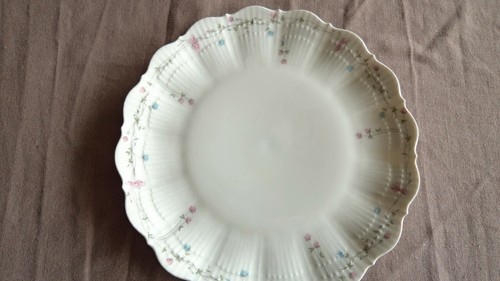 Superbe assiette porcelaine - superbe,