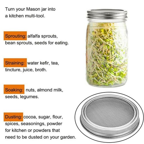 Mason pot germination - pot,