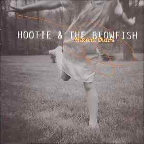 Hootie the blowfish - cd,