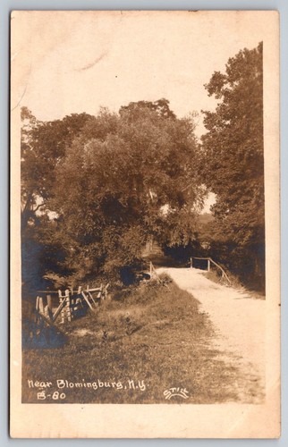 Landscape bloomingburg rppc - landscape,