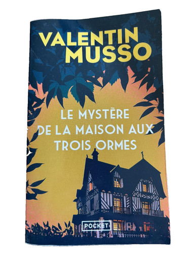 Valentin musso le mystère - valentin,