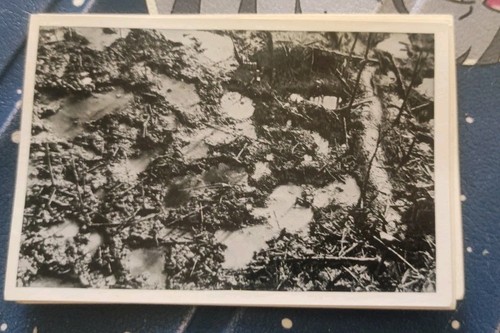Ww1 1914 1918 - , photo