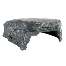 Reptiles Quai Repos Tritons