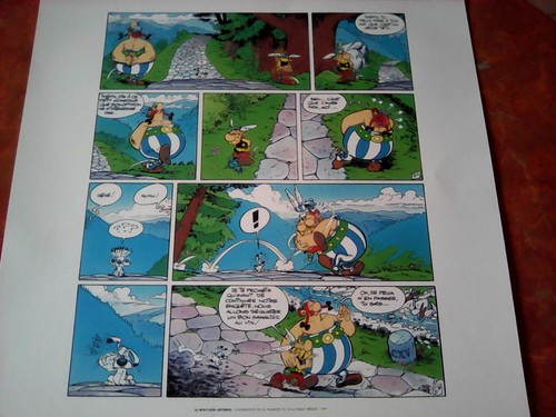 Sérigraphie astérix obélix - sérigraphie,