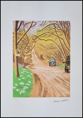 David hockney the arrival - david,