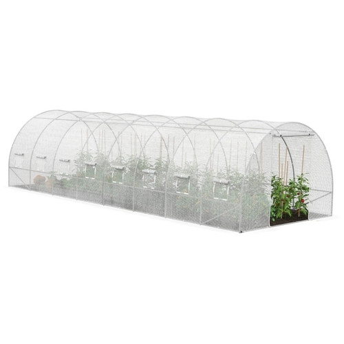 Serre jardin tunnel 24m 8 - de, 24m²