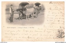 AXIP7-0491-64 - Types basque -