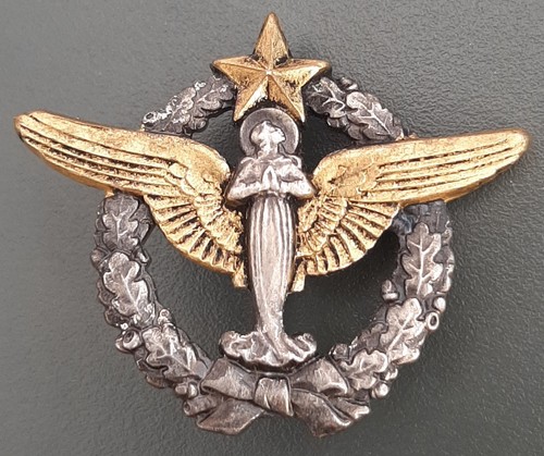 Insigne badge pèlerinage - insigne,