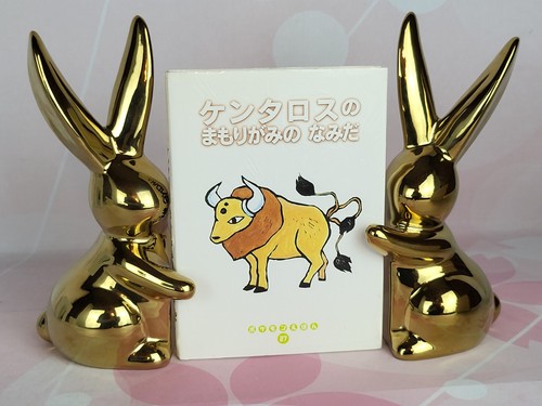 Livre photo japonais 1er