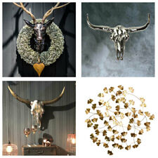 Ramure Tête de Taureau Crâne