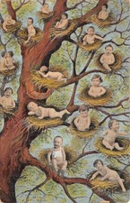 CPA FANTAISIE / REPRESENTANT DES BEBES / BEBE DANS UN NID D'OISEAU