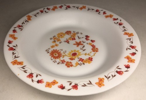 Lot12 assiettes creuses - 6,