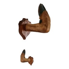 Patte de chevreuil  1954