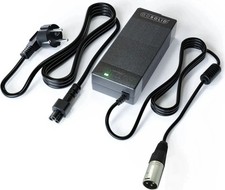 GO SOLID! Chargeur compatible avec Shoprider Echo (SL73)