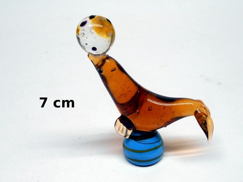 Magnifique otarie verre - magnifique,