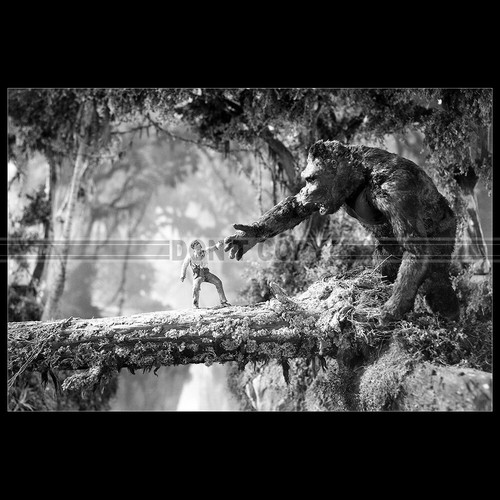 Photo 009121 king kong - f.009121,