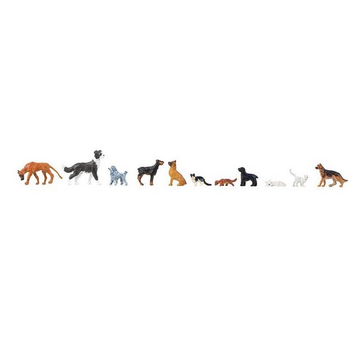 Chiens chats 1 - chiens,