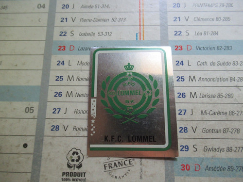 Vignette ecusson panini - ecusson,