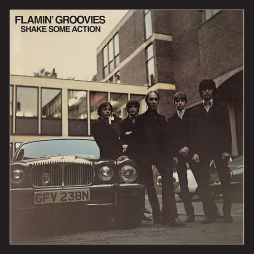 Flamin groovies shake some - groovies,