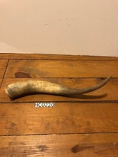 Hill Country Cow large horn