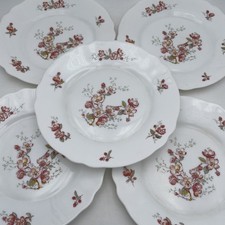 5 Petites Assiettes Plates
