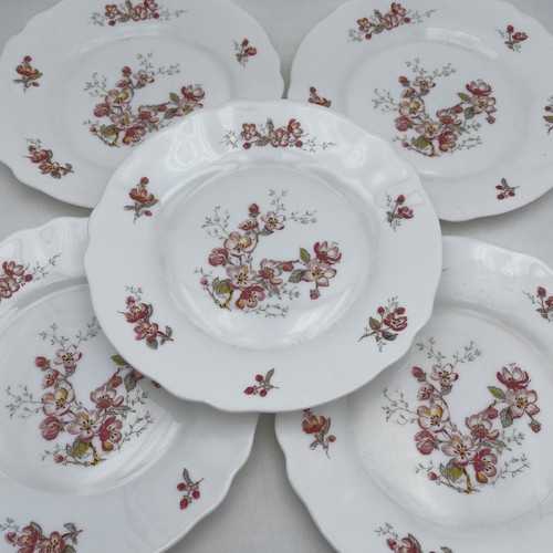 Petites assiettes plates - petites,