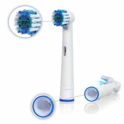 Tête brosse à - à, dents