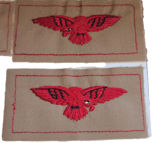 Paire insignes épaule - paire, d'épaule