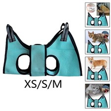 Chien Toilettage Sling Kitty