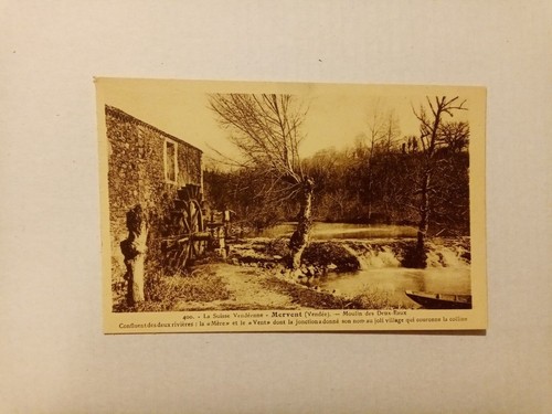 Carte postale forêt - postale,
