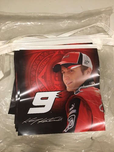 2008 budweiser racing string - 2008,