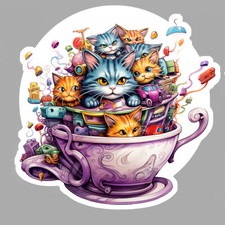 PETITS CHATS BÉBÉS CHATS