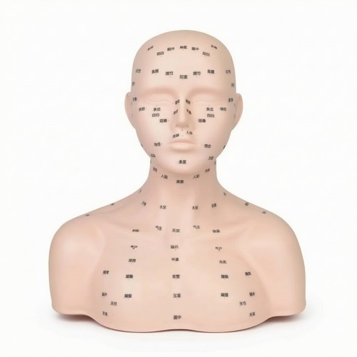 Buste massage pvc - massage, souple