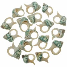 Coquillages turbo vert découpés - 3.5 à 4 cm - Lot de 5