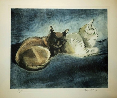Jacques nam capucin adimah - et,