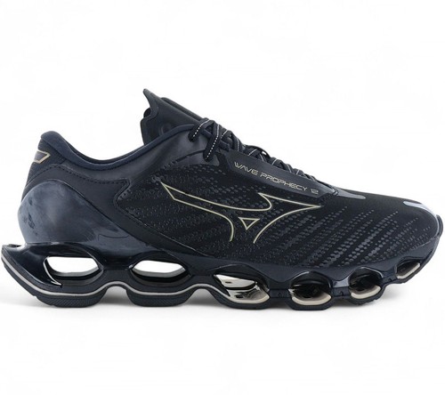 Mizuno wave prophecy - mizuno,