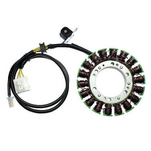 Electrosport stator magnet - stator,